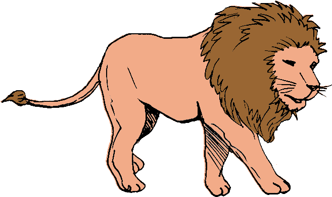 Lion Walking On The Prowl Clipart - Masai Lion (804x497)