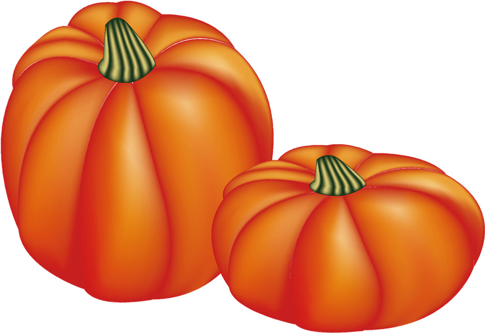 Thanksgiving Png 12, Buy Clip Art - Calabaza De Accion De Gracias (960x660)