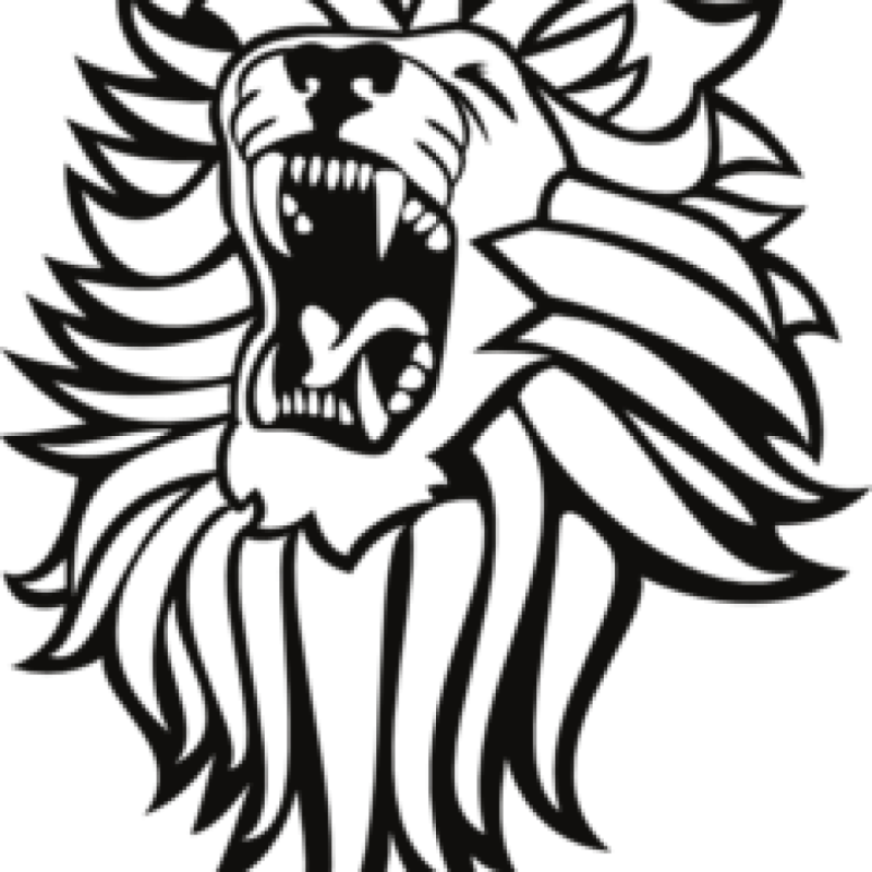 Pin Free Lion Clipart - Roaring Lion Art Art (800x800)