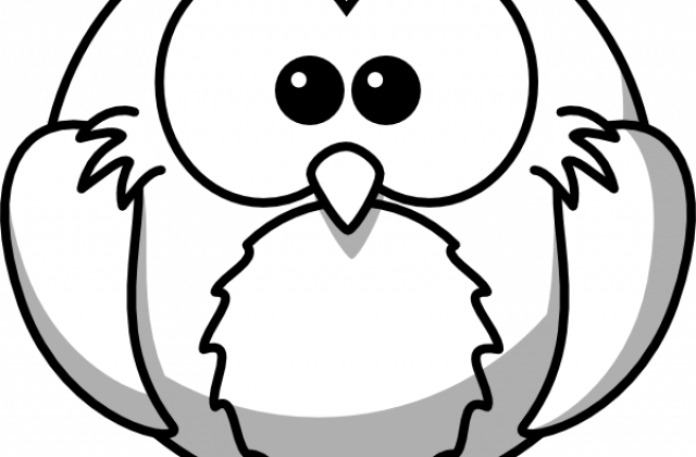 Outline Drawings Of Animals - Bird Clipart Black And White (640x420)