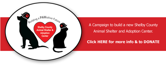 Scarf Pawsitive Future Building Campaign - Fundraising (574x255)