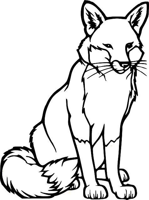 Free Images On Pixabay - Fox Coloring Page (476x640)