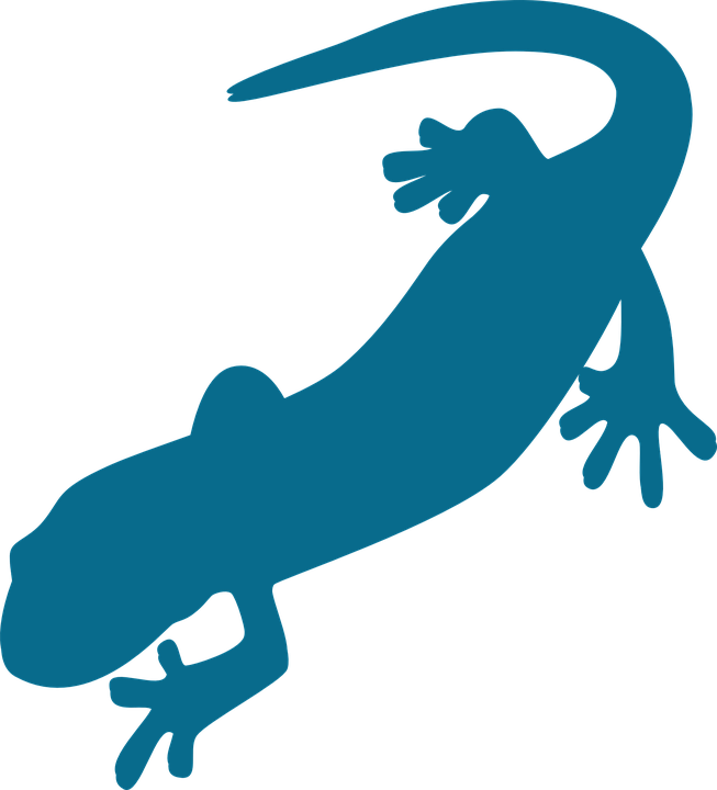 Saurian, Amphibian, Salamander, Gecko, Silhouette, - Salamander Png (1162x1280)