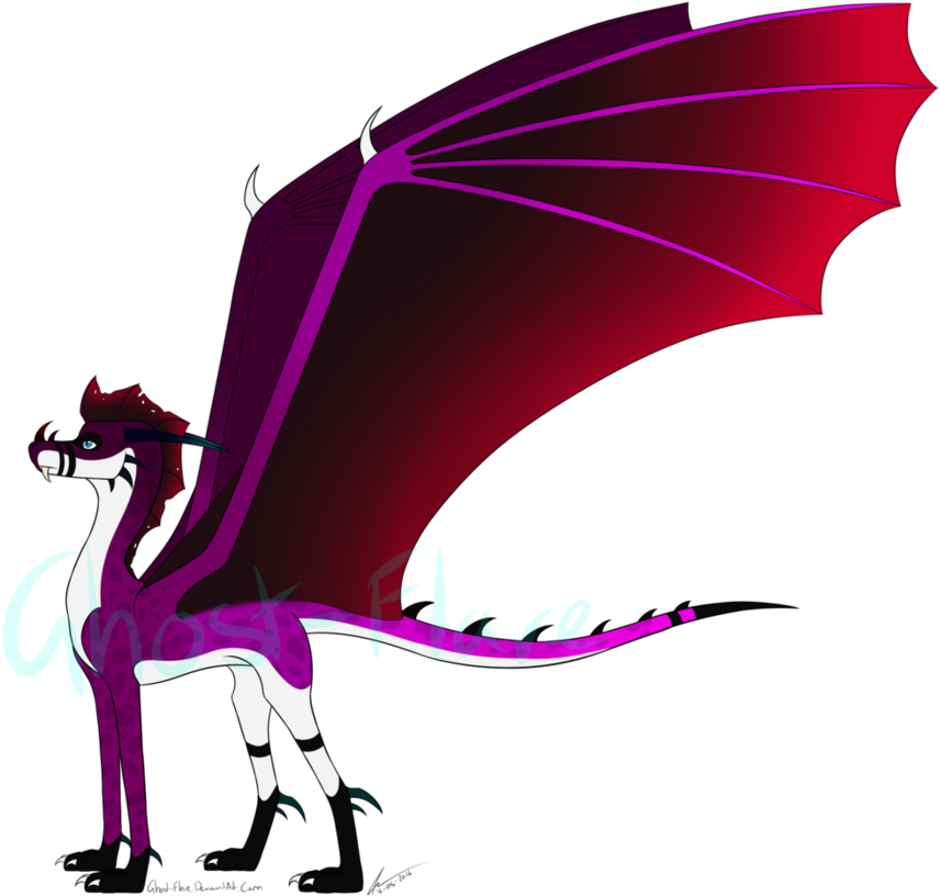 Dragon Clip Art - Illustration (894x894)