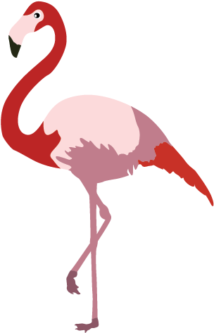 Flamingo Cartoon Clip Art - Drawing (508x508)