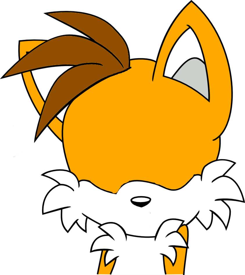 Face Template Of Kale The Fox By Kale The Fox On Deviantart - Face Template Of Kale The Fox By Kale The Fox On Deviantart (843x947)