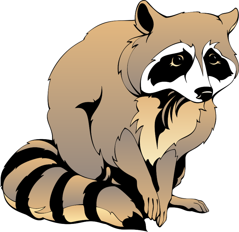 Raccoon Clip Art Free - Black And White Raccoon Clipart (800x777)