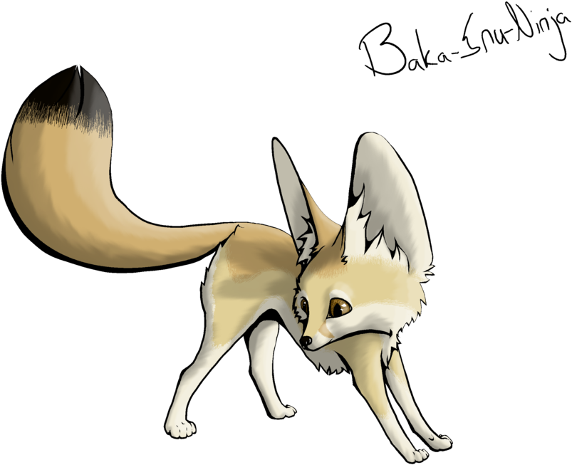 Fennec Fox Transparent Png - Easy Fennec Fox Drawings (1031x774)