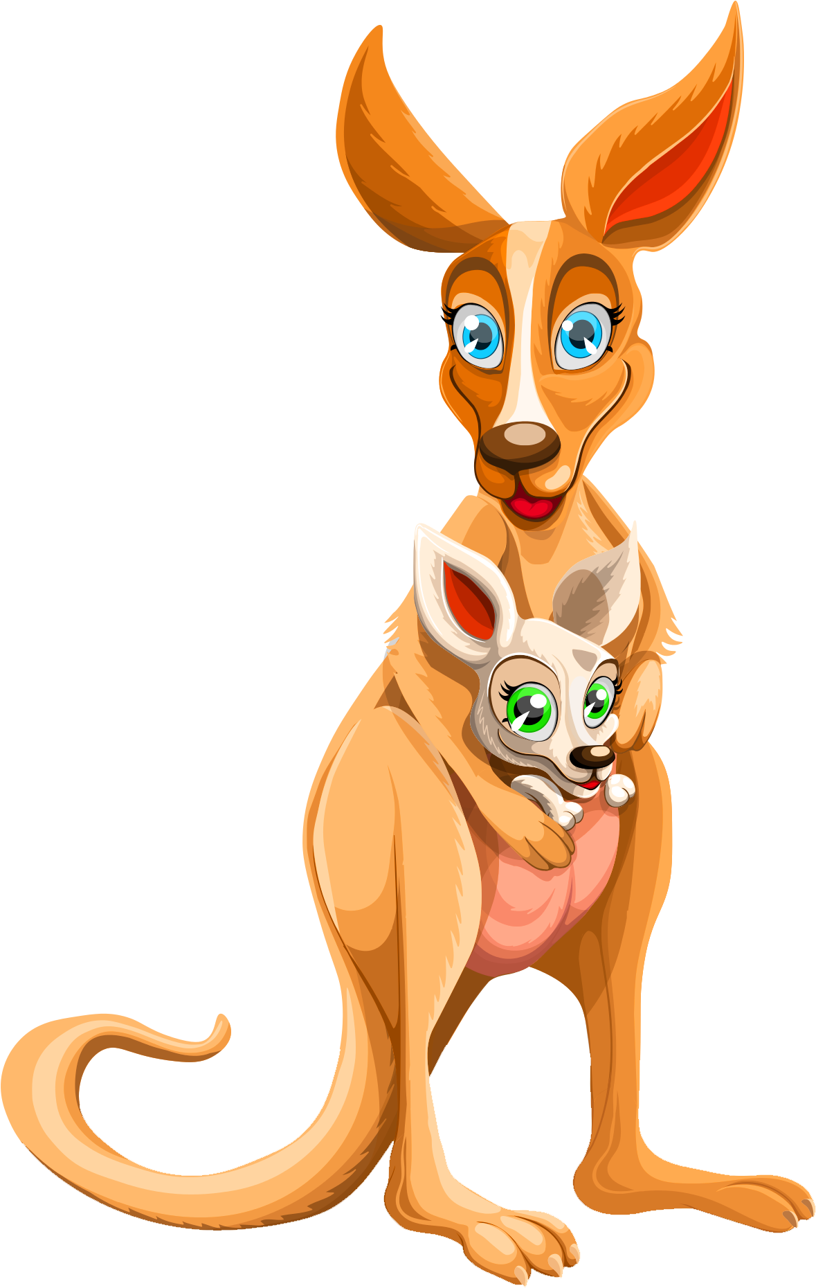 Kangaroo Cartoon Transparent Images - Kangaroo Png (1436x2043)