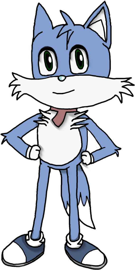 Dusk In Sonic Fox Style - Cartoon (678x1179)