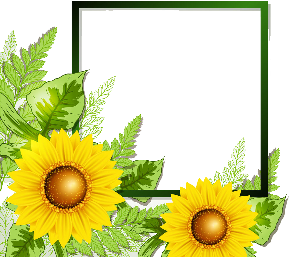 Sunflower Border - Sun Flower Frame Png (996x1000)