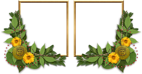 Download Computer File - Download Computer File (567x510)