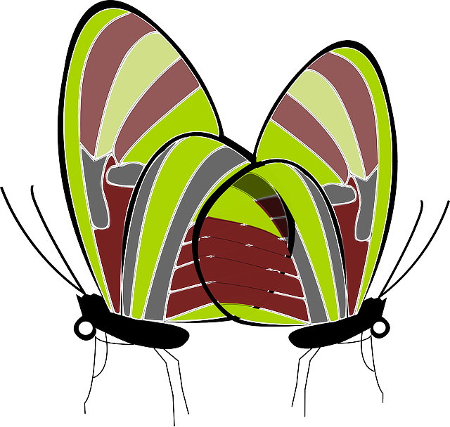 Animals Butterflies, Insects, Animals - Clip Art (640x608)