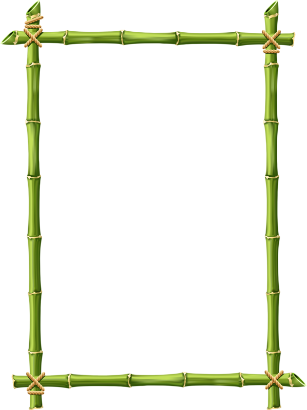 Bamboo Clipart Signage - Bamboo Page Border (599x800)