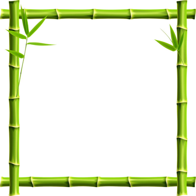 Giant Panda Picture Frame Bamboo Clip Art - Bamboo Border Png (800x800)