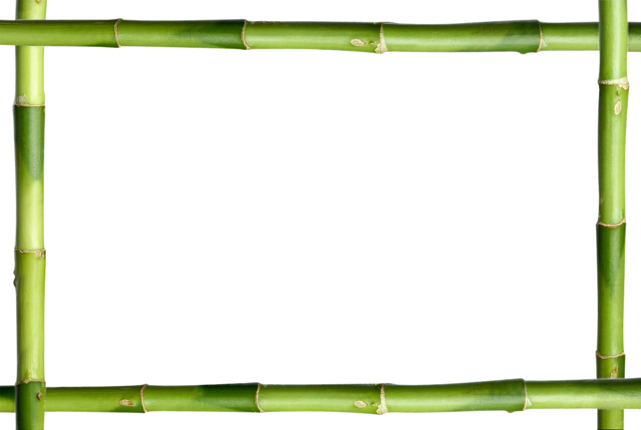 Green Bamboo Stick Frame - Bamboo Stick (1300x871)
