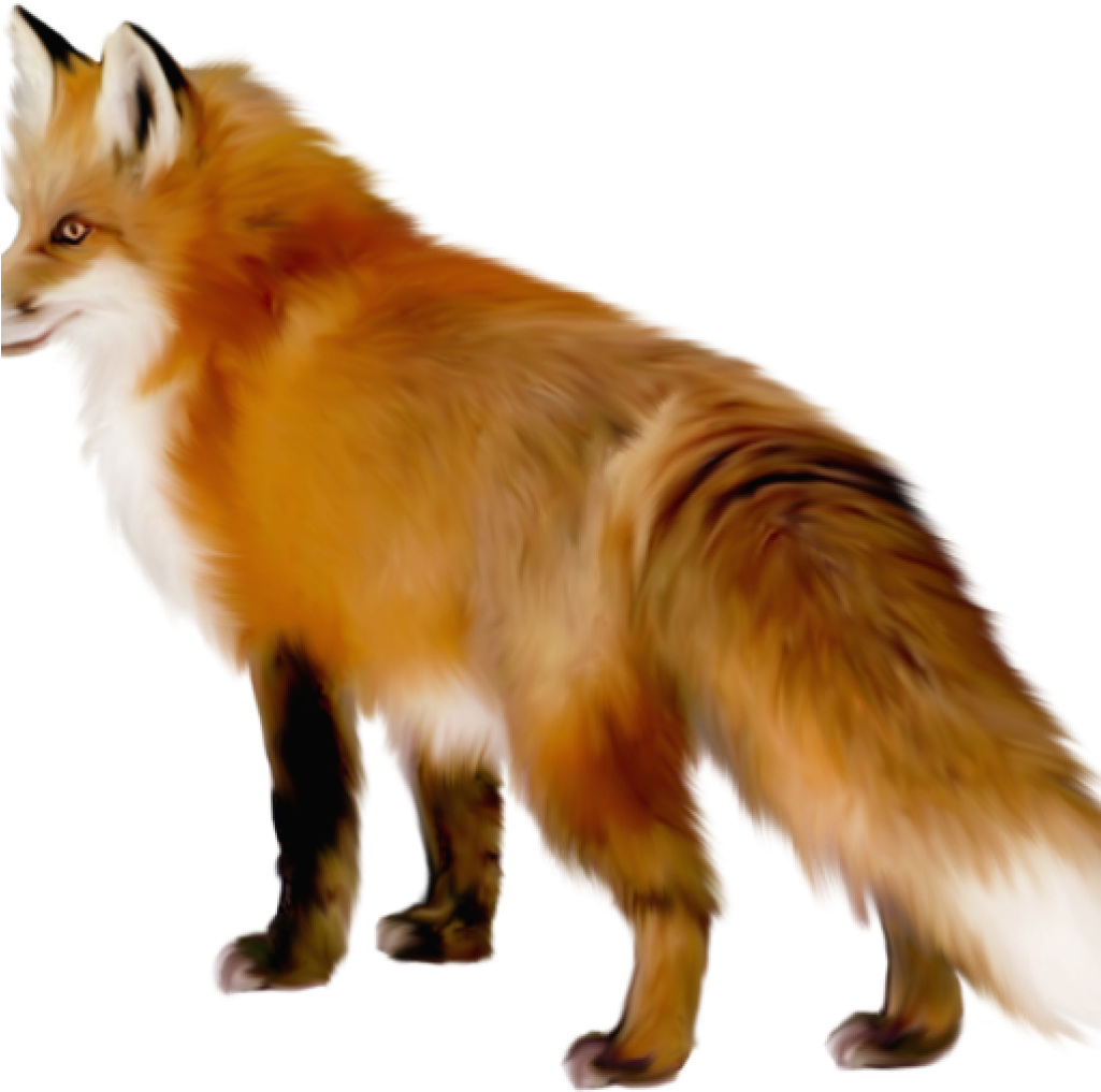 Fox Clipart Artistic Fox Clipart Wallpaper Stickers - Red Fox Clipart (1024x1024)