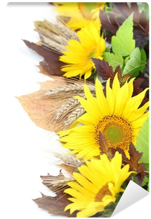 Sunflower Border With Barley And Colorful Leaves Wall - Royalty-free (400x400)