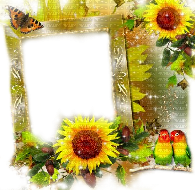 Sunflower Border Png Autumn Sunflower Frame - Frames Sunflowers Transparent (400x400)
