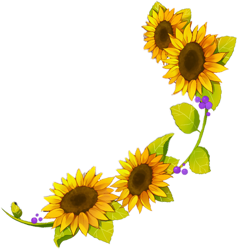 Sunflower Border Png Boutique D'analyse - Desenho Flor De Girassol (500x500)