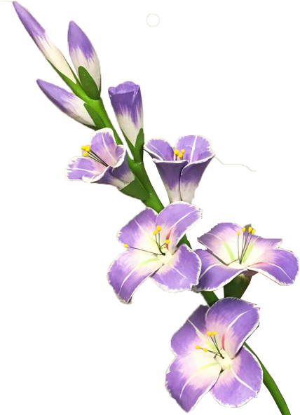 Sunflower Page Border Download - Gladiolus Flower Clip Art (600x600)