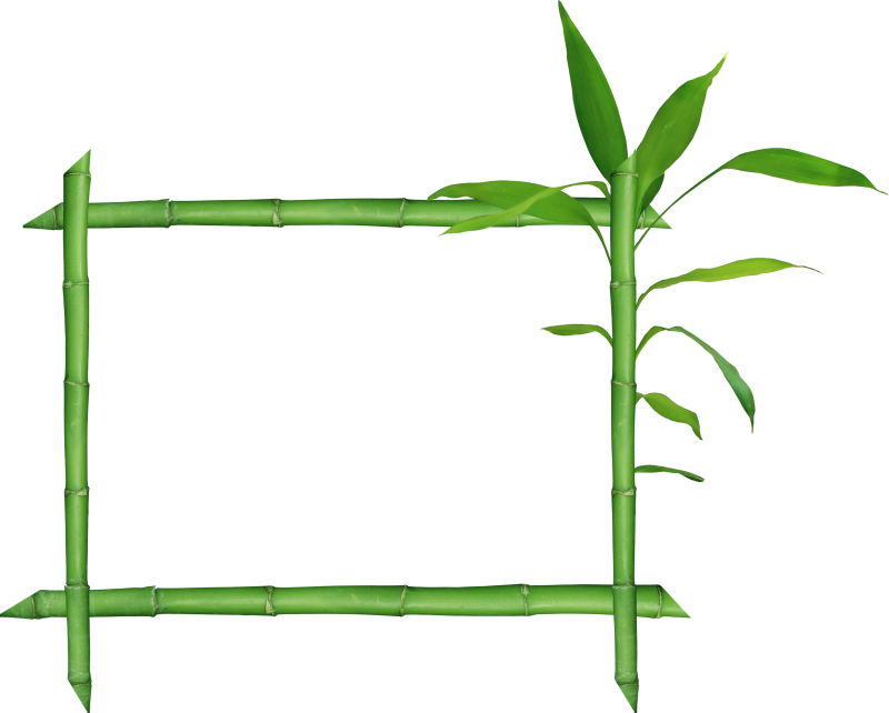 Bamboo Raster Graphics Clip Art - Bamboo Raster Graphics Clip Art (800x642)