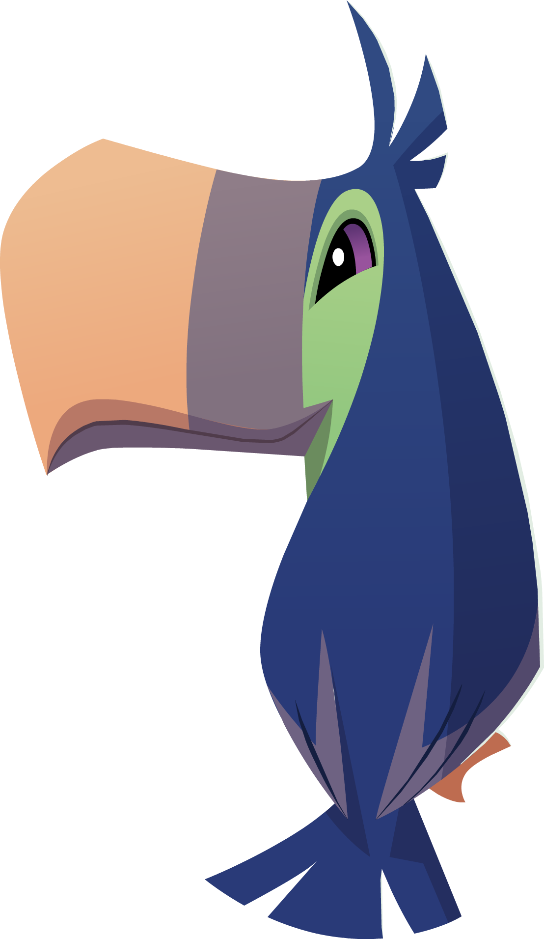 Image - Animal Jam Toucan (1108x1911)