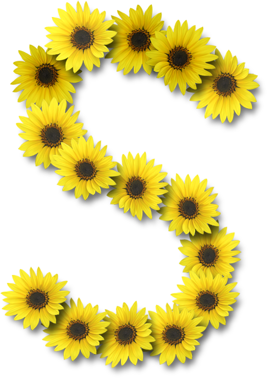Alfabeto Sunflowers - Alfabeto Sunflowers (531x753)