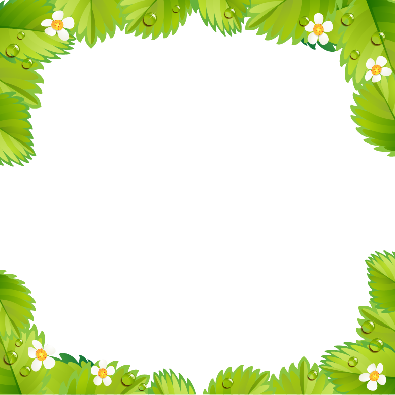 Bamboo Frame Png - Bamboo Frame Png (778x779)