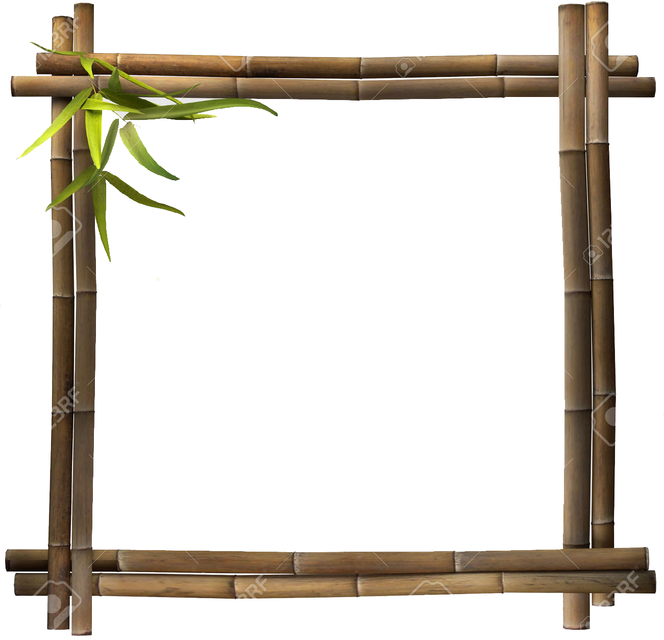 Stock Photography Picture Frames Bamboo Royalty-free - Bamboo Frame Png Hd (1300x1300)