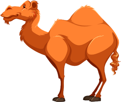 Elegant Camel Cartoon Cartoon Camel Clipart Best - Camel Cartoon Png (400x400)