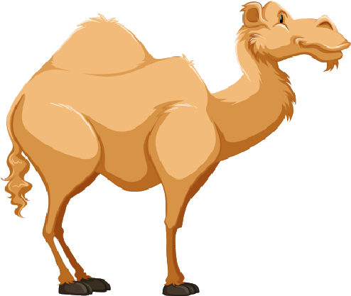 Camel Clip Art - Camel Clip Art (500x500)