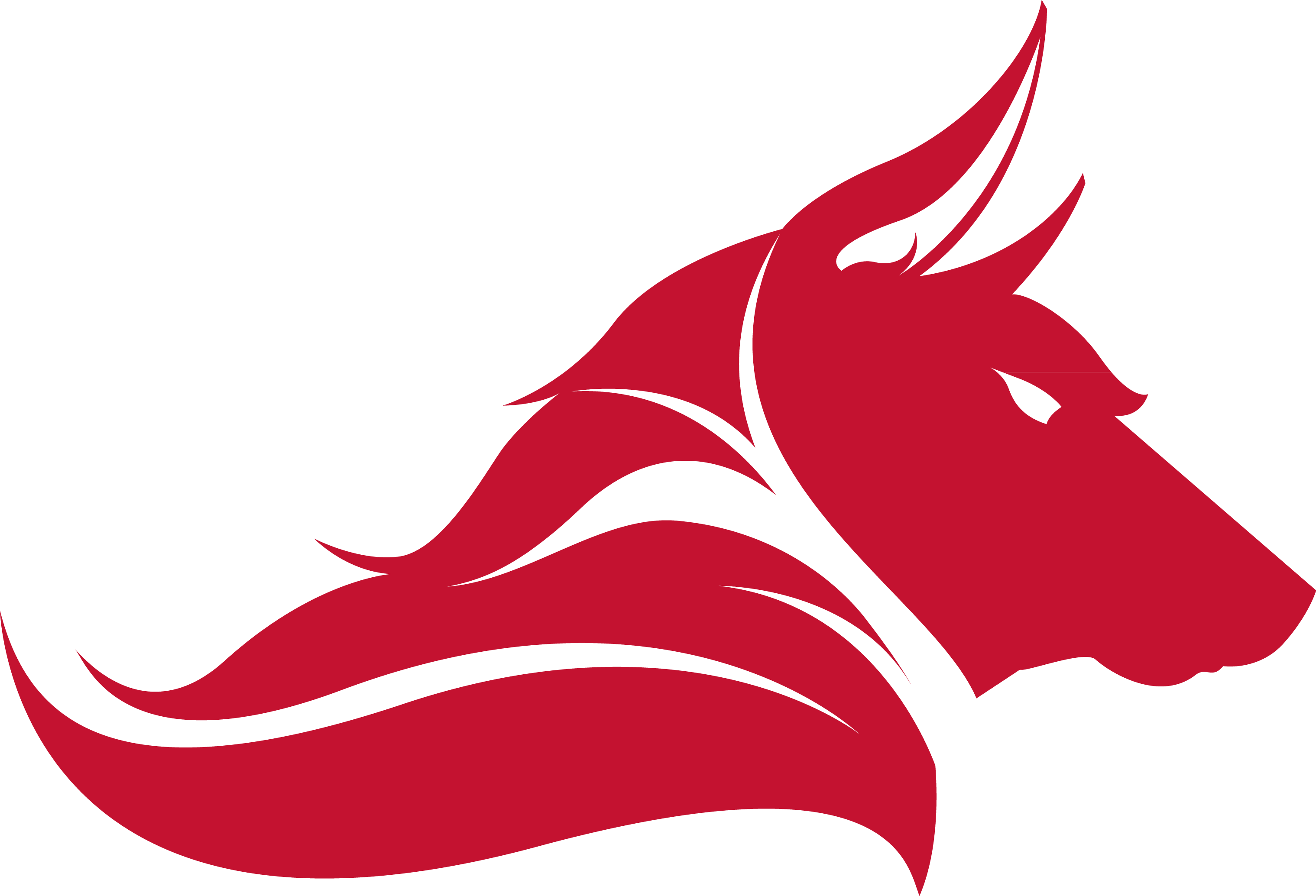 Gray Wolf Logo Clip Art - Trent Middle School Logo (3038x2069)