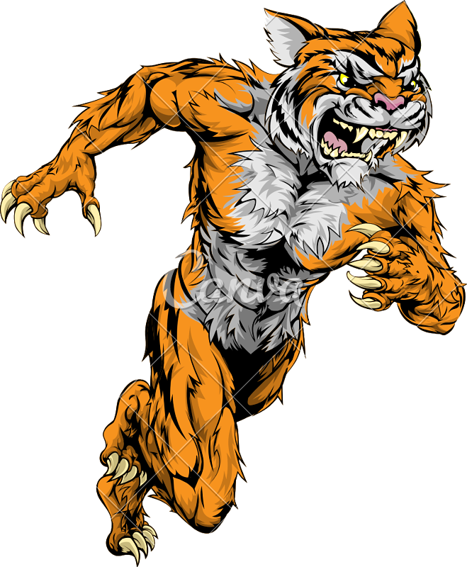 Tiger Sports Mascot Running Illustration - Super Crocodile Alligator Workbook Of Affirmations (659x800)