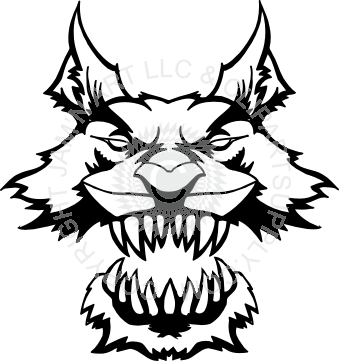 Clayton Duraplex Delrin Picks 1 Dozen .73 Mm (339x361)