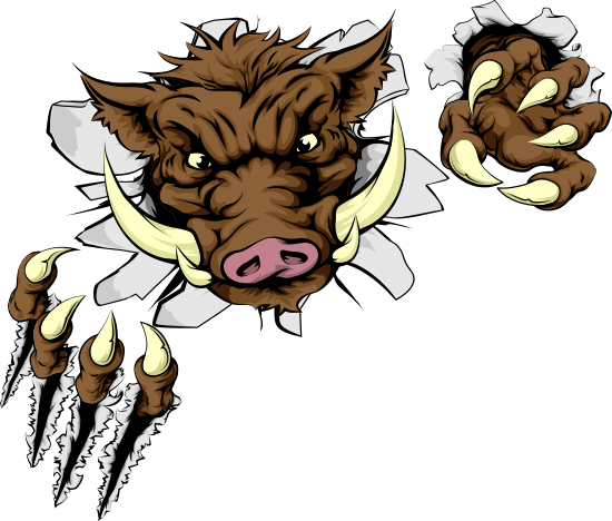 Boar Sports Mascot - Mr Alligator Crocodile Workbook Of Affirmations Mr (550x468)