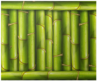 Bamboo (400x400)