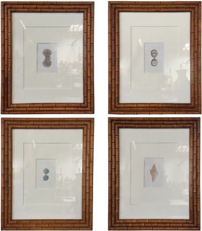 Transitional - Wood (736x460)