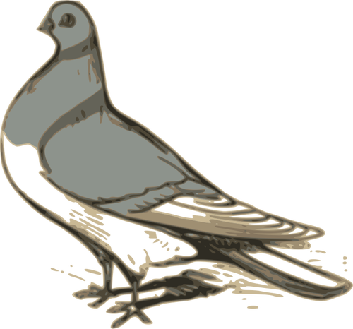 Vector Clip Art Of Grey Pigeon Illustration Public - Gambar Buruk Merpati Animasi (500x466)