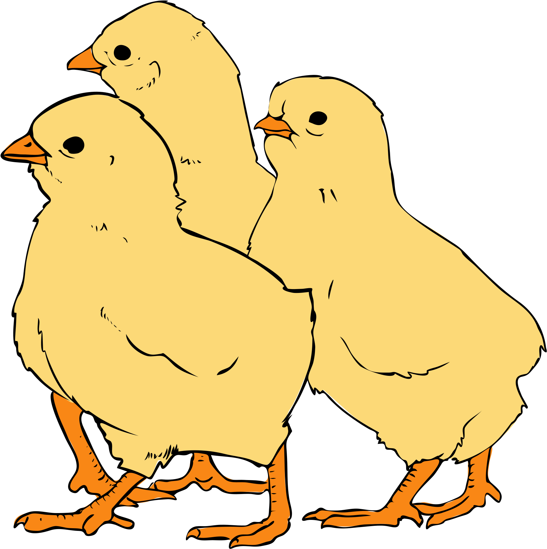 File - Chicks Clipart (2000x1962)