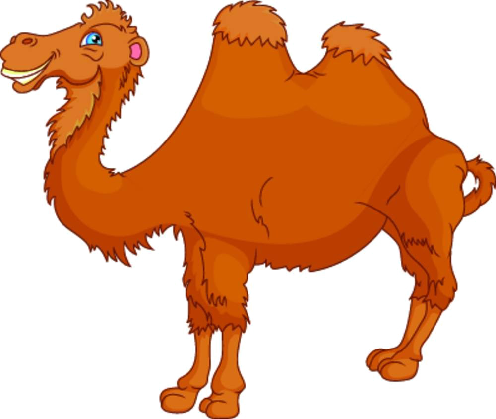 Bactrian Camel Cartoon Royalty-free Illustration - Bactrian Camel Cartoon Royalty-free Illustration (1000x844)