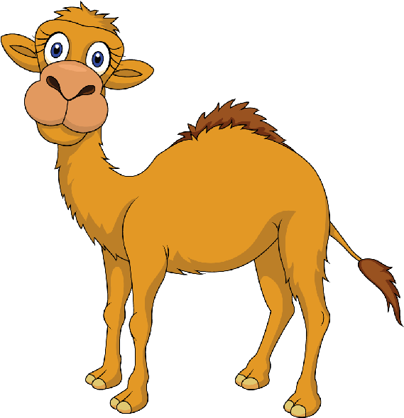 Camel Cartoon Pictures - Cartoon Camel (600x600)