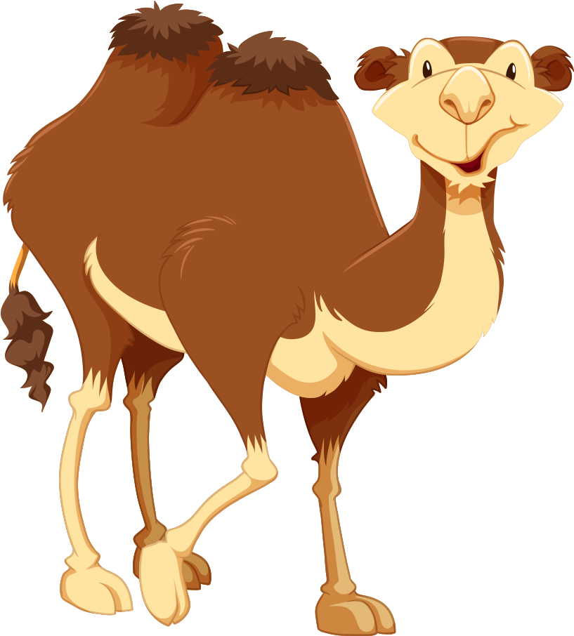 Bactrian Camel Cartoon Clip Art - Bactrian Camel Cartoon Clip Art (1000x1000)