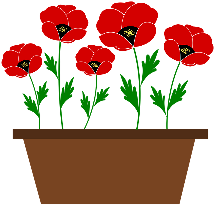 Poppy Cliparts 7, - Plant Pot Vector Png (720x720)