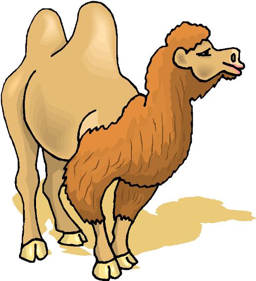 Cute Cartoon Camel Clip Art Images - Two Hump Camel Clipart (600x600)