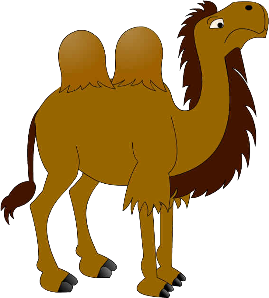 Dromedary Cartoon - Lovely Camel - Dromedary Cartoon - Lovely Camel (931x1017)