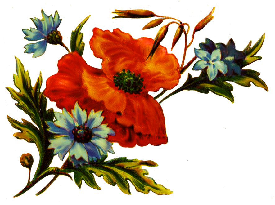 Floral Clipart For Decoration - Cliparts Decoration Png Scrapbook (934x709)