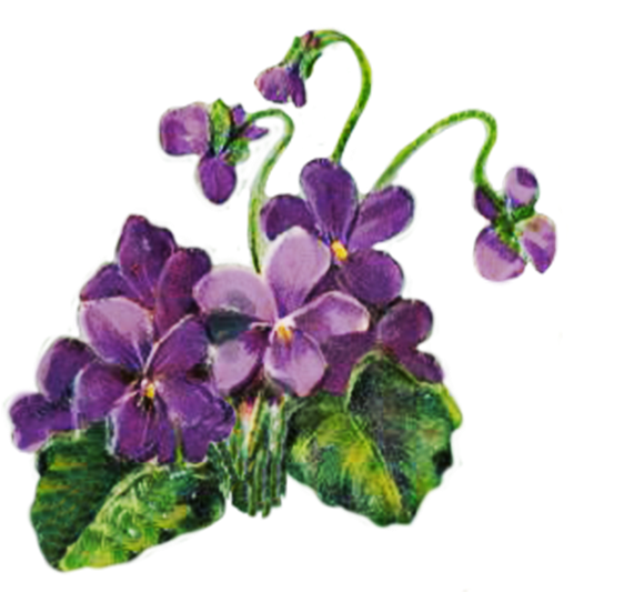 Floral Clipart For Scrapbooking - Transparent Blue Violets Png (655x650)