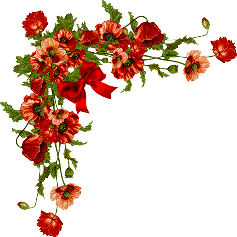 Flower Cliart Floral Corner Red Poppies - Red Flower Corner Png (500x500)