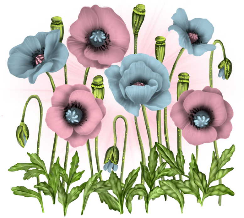 October 2015 « Archive - Oriental Poppy (787x703)